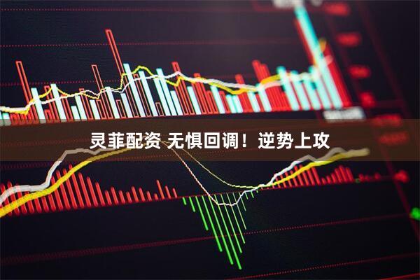 灵菲配资 无惧回调！逆势上攻