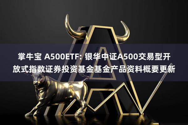 掌牛宝 A500ETF: 银华中证A500交易型开放式指数证券投资基金基金产品资料概要更新