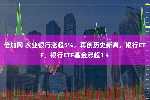 倍加网 农业银行涨超5%，再创历史新高，银行ETF、银行ETF基金涨超1%