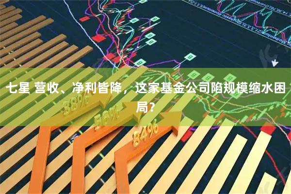 七星 营收、净利皆降，这家基金公司陷规模缩水困局？