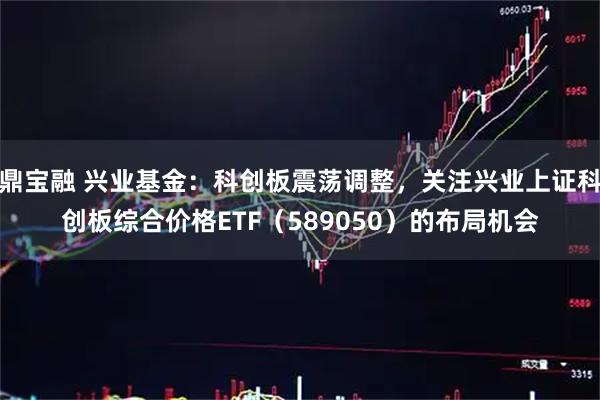 鼎宝融 兴业基金：科创板震荡调整，关注兴业上证科创板综合价格ETF（589050）的布局机会