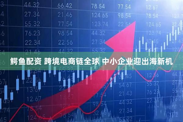 鳄鱼配资 跨境电商链全球 中小企业迎出海新机