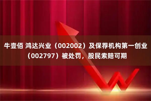 牛壹佰 鸿达兴业（002002）及保荐机构第一创业（002797）被处罚，股民索赔可期